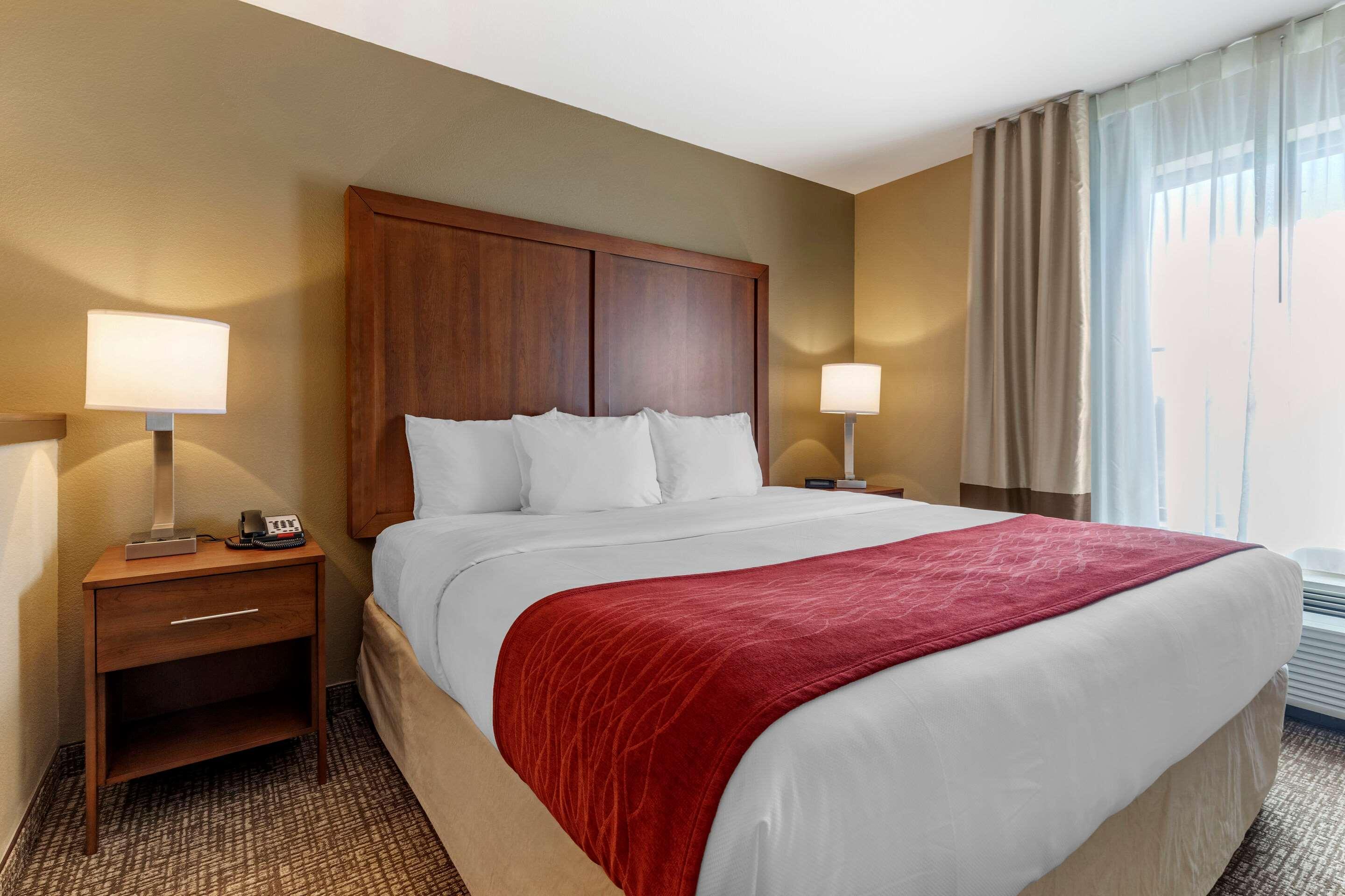 Comfort Inn & Suites Russellville I-40 Esterno foto