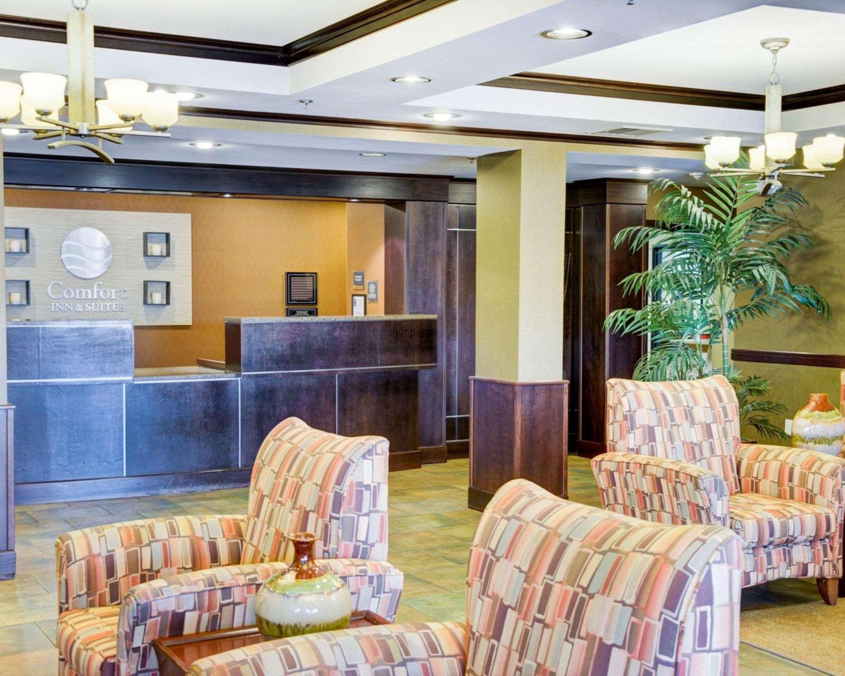 Comfort Inn & Suites Russellville I-40 Esterno foto