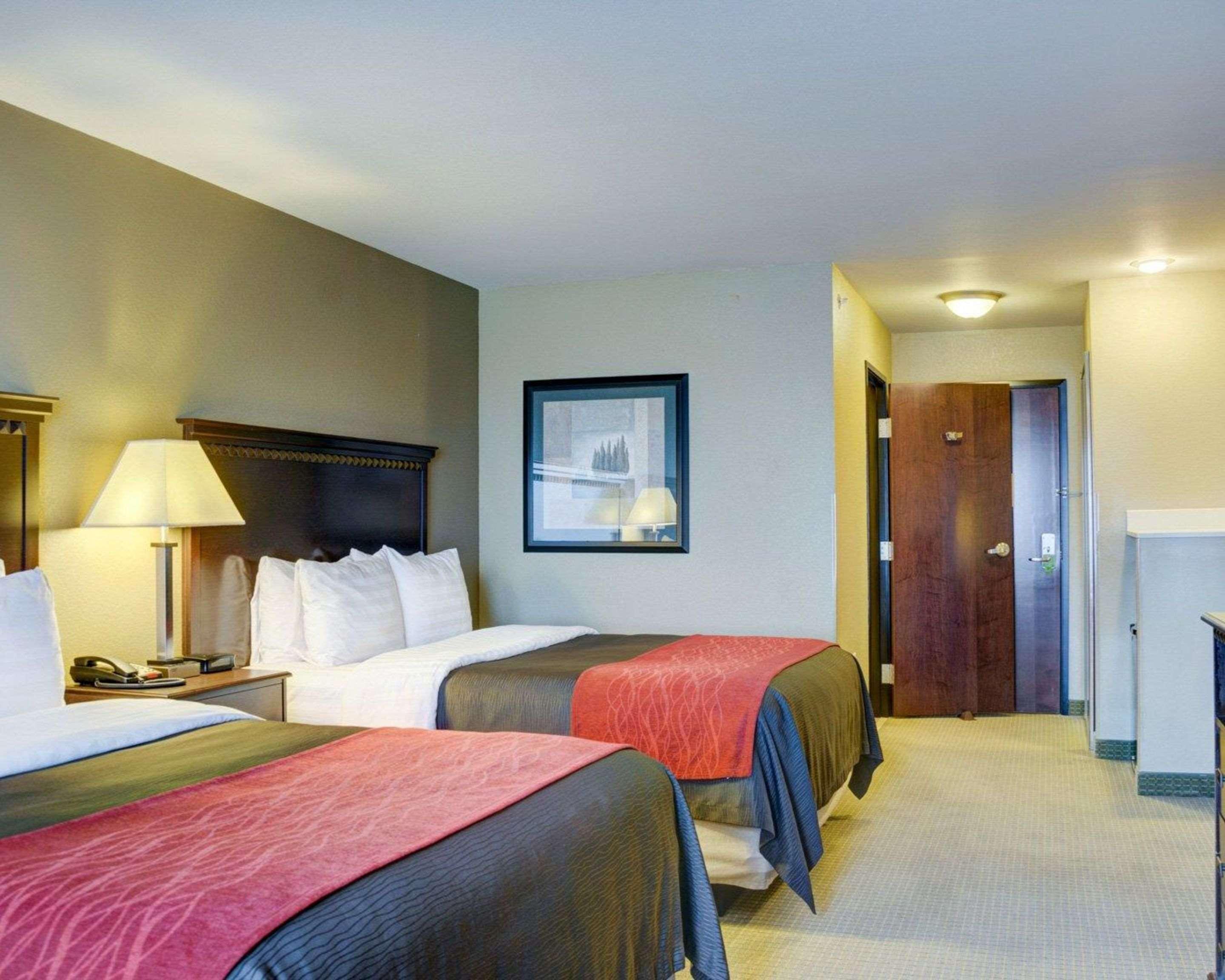Comfort Inn & Suites Russellville I-40 Esterno foto