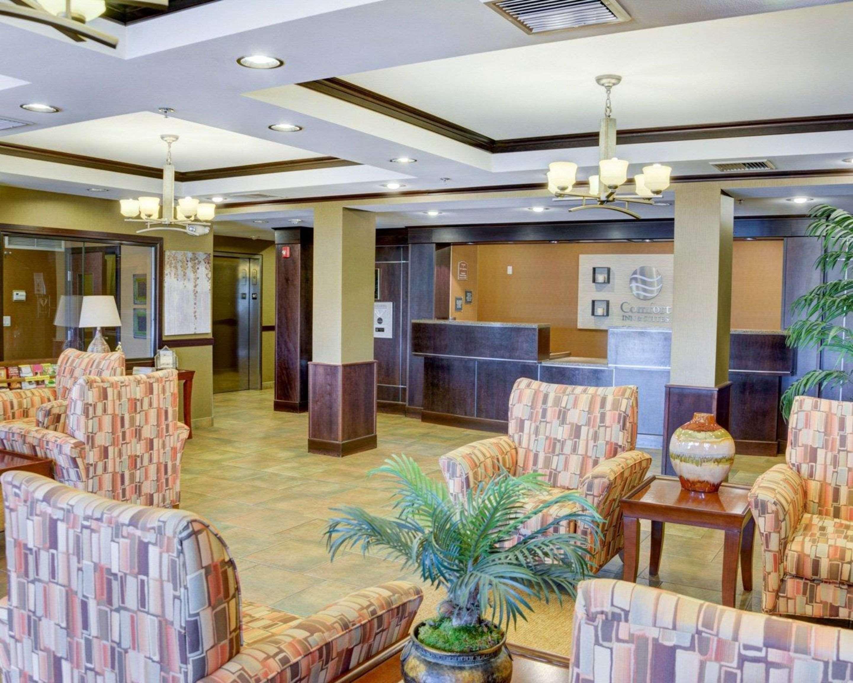 Comfort Inn & Suites Russellville I-40 Esterno foto