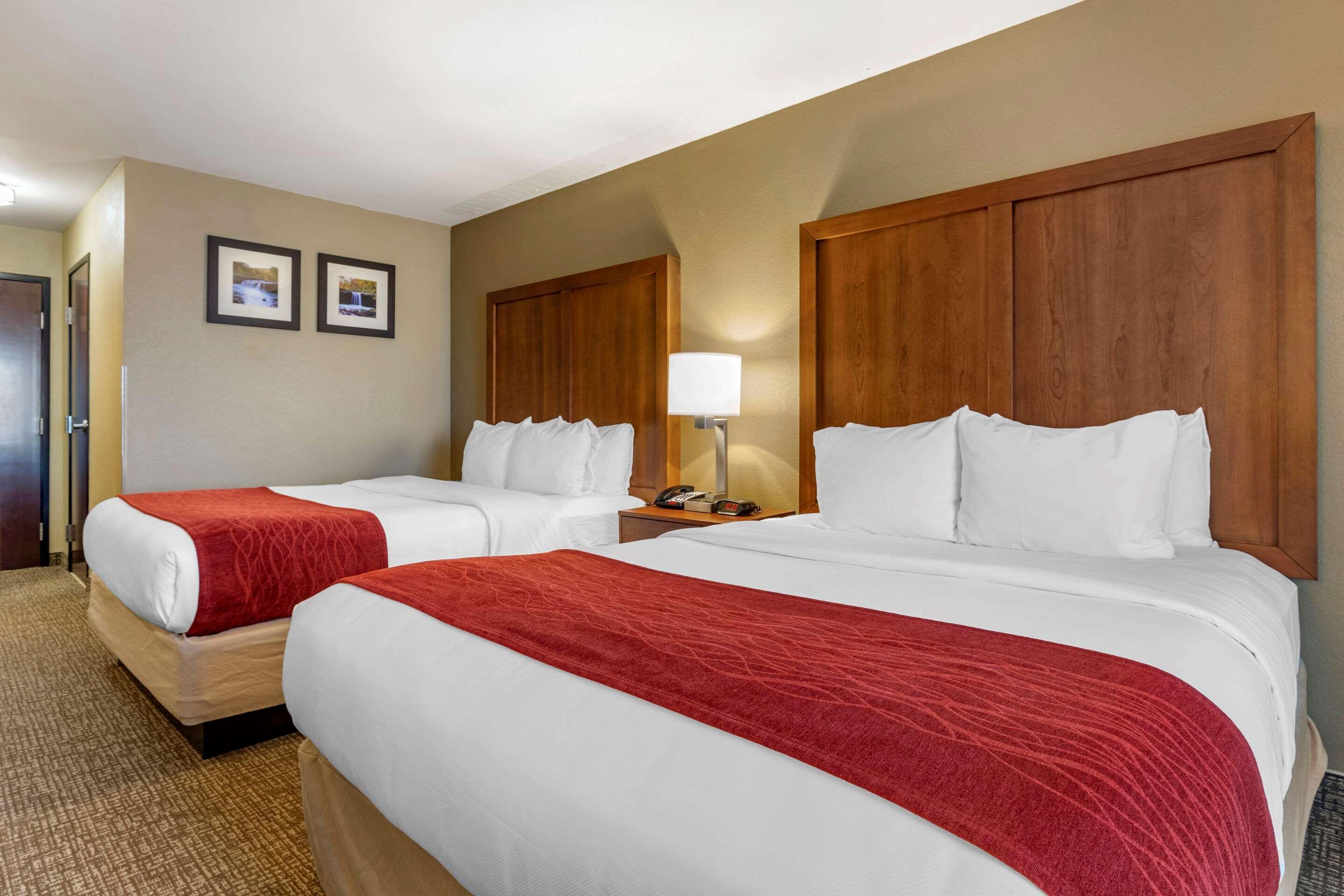 Comfort Inn & Suites Russellville I-40 Esterno foto