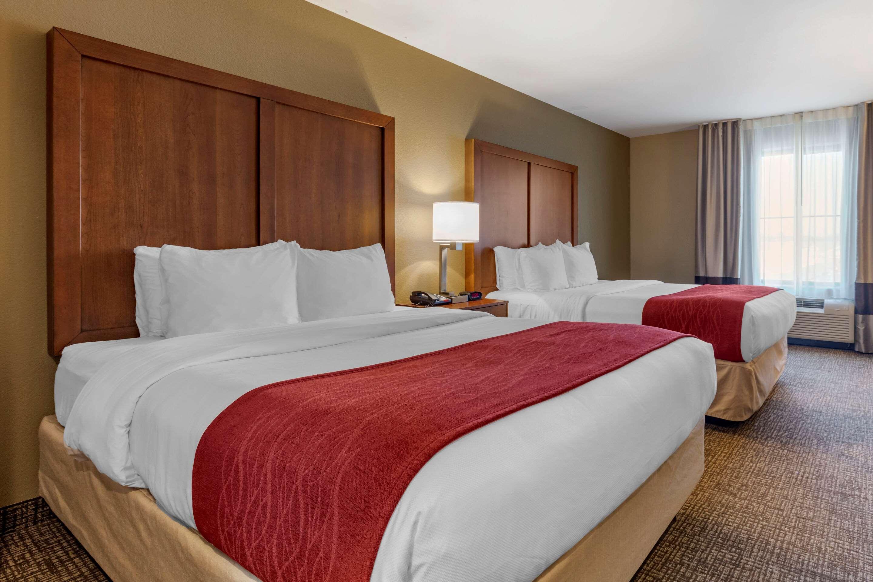 Comfort Inn & Suites Russellville I-40 Esterno foto