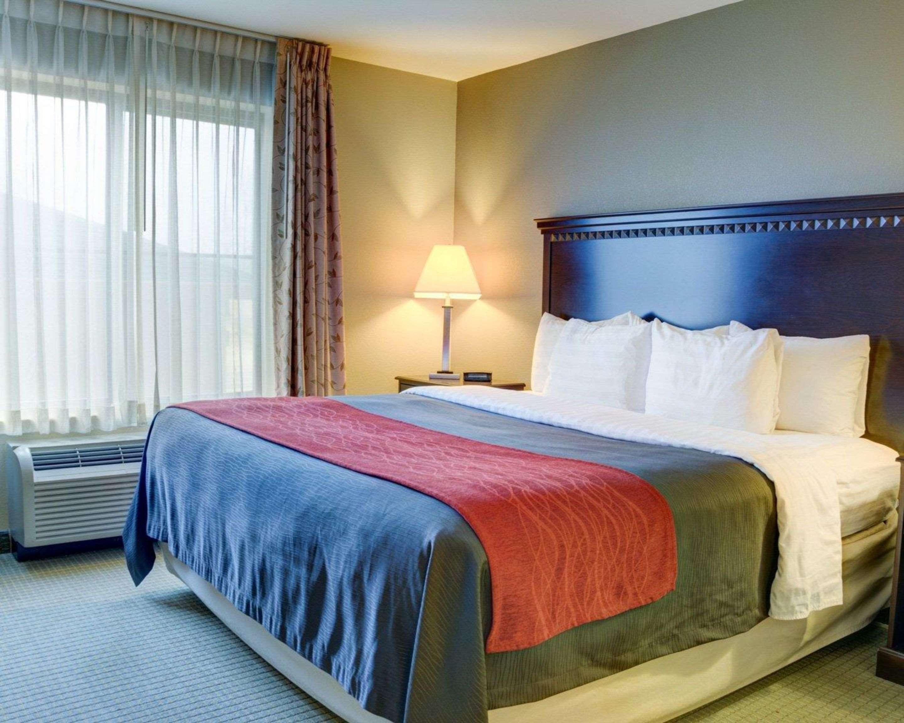 Comfort Inn & Suites Russellville I-40 Esterno foto