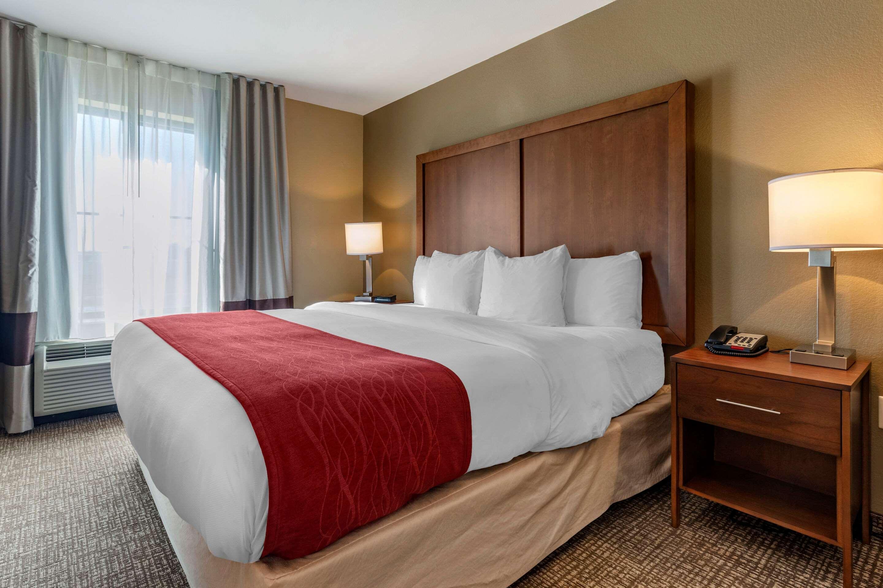 Comfort Inn & Suites Russellville I-40 Esterno foto
